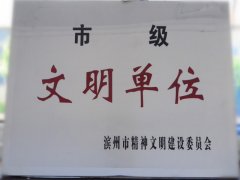 喜訊！公司榮獲“市級(jí)文明單位”稱號(hào)