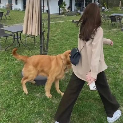 四十五小姐